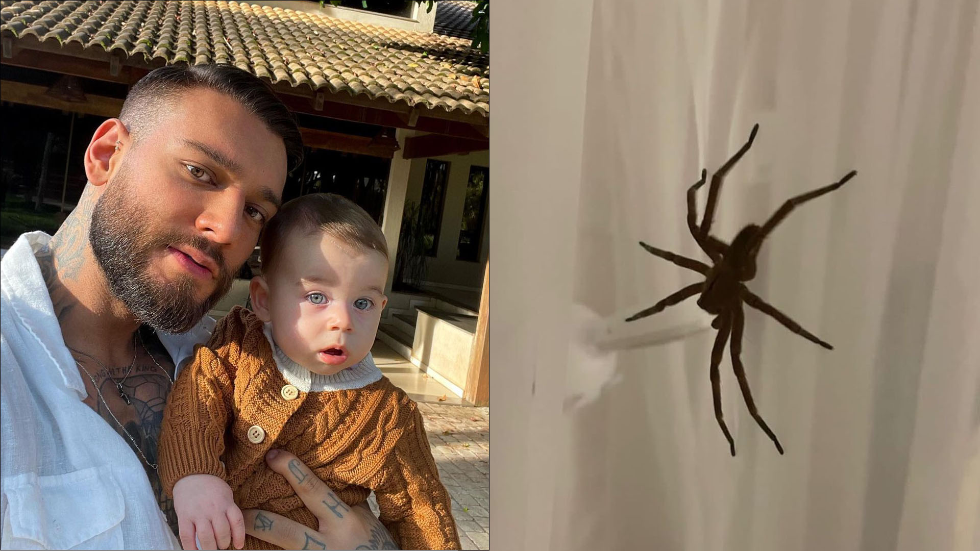 Que susto! Esposa de Lucas Lucco encontra aranha gigante no berço do filho
