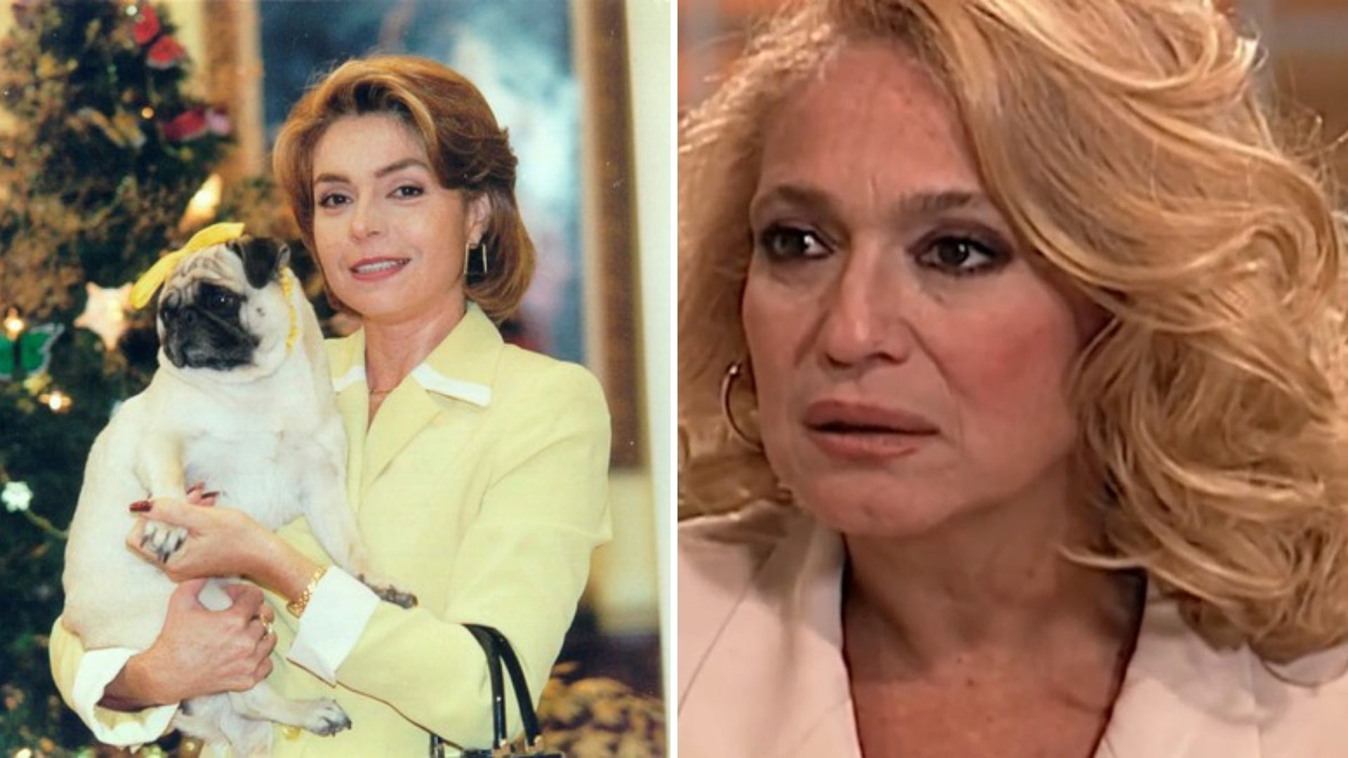 Susana Vieira escreve carta aberta para Françoise Forton: “Você foi embora assim?”