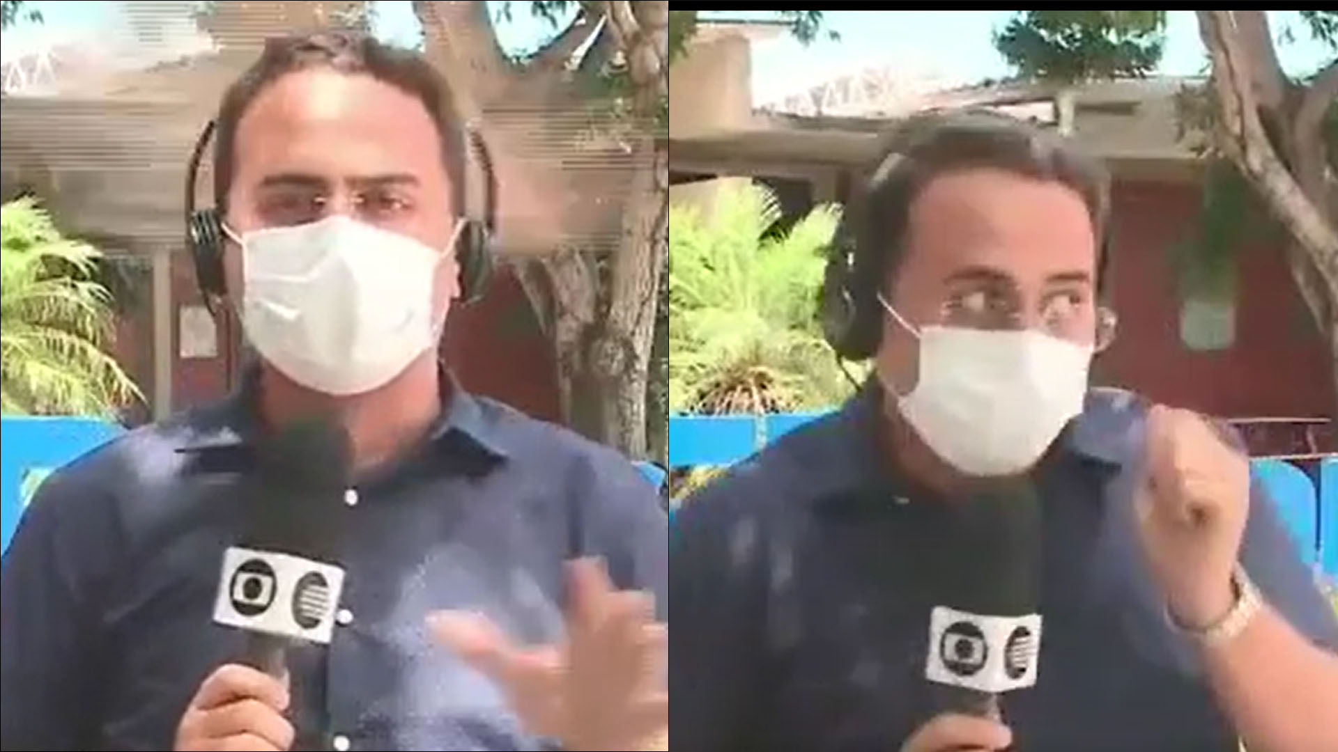 Ao vivo, repórter da Globo é atacado por gavião: “Tomou um ‘pedala, Robinho'”