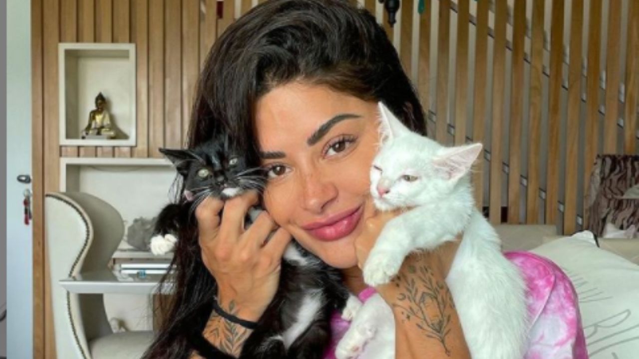 Como assim? Aline Riscado revela ter número exuberante de gatos e cachorros: “Amo meus bichinhos”