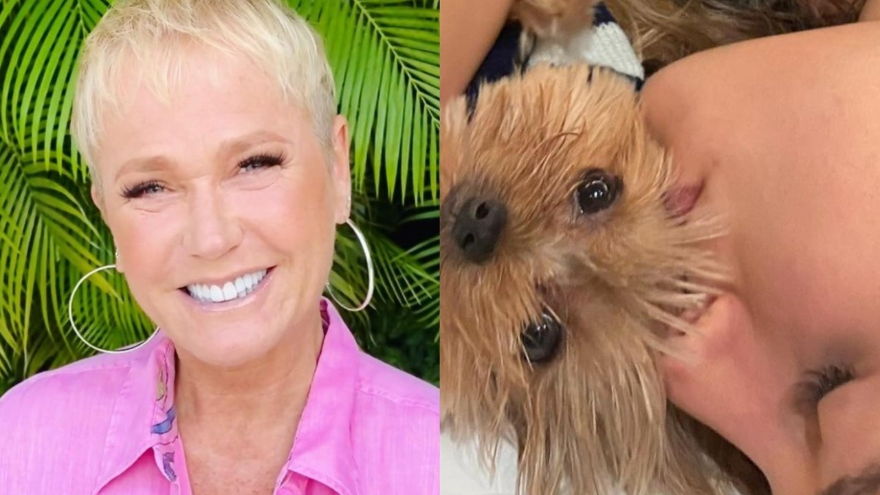 Xuxa Meneghel se derrete toda ao registrar Sasha Meneghel vestida com look igual da mascote da família: “Não dá para aguentar”