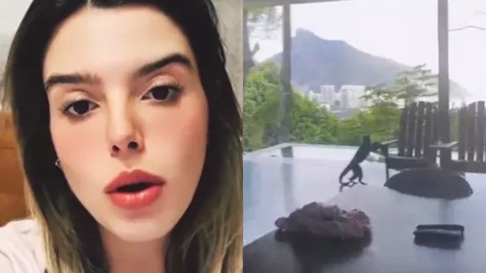 Giovanna Lancellotti se irrita e rebate críticas após gritar com macacos: “Está louca”