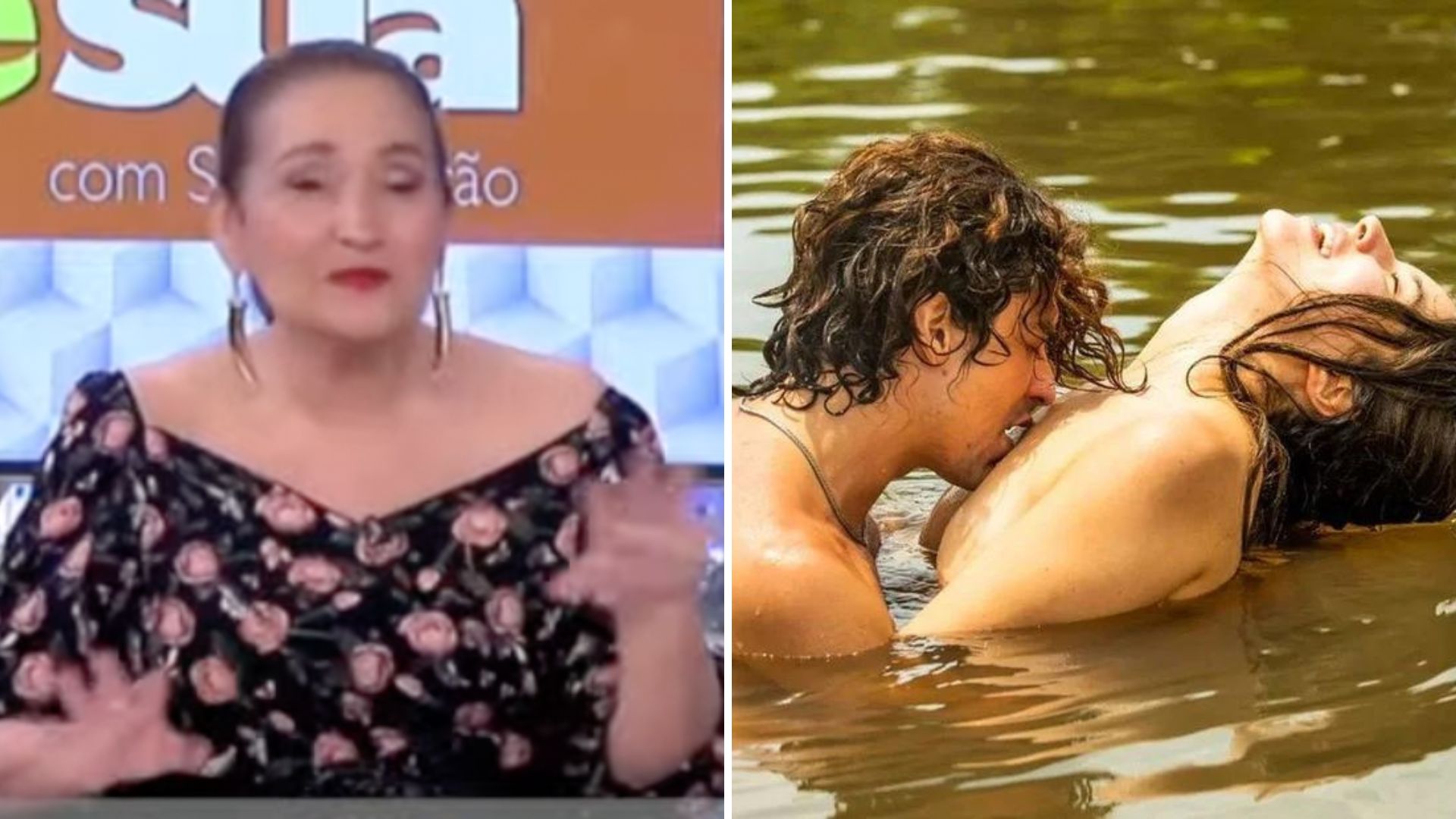 Sonia Abrão não passa pano e detona dança do acasalamento em ‘Pantanal’: “Horrível”
