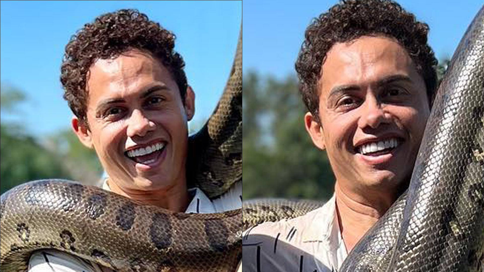É de verdade? Silvero Pereira posa com sucuri de ‘Pantanal’ nos braços: “Que medo”