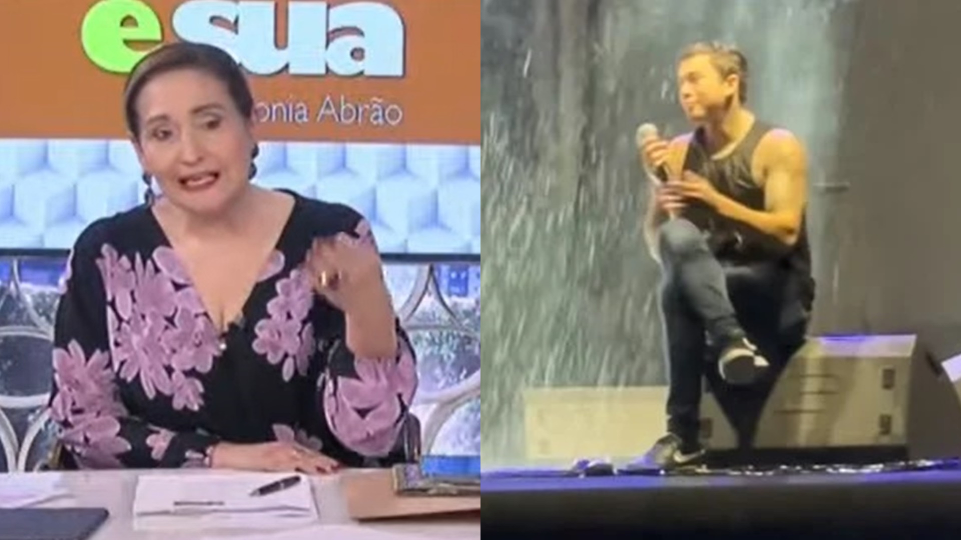 Sonia Abrão reprova atitude de Whindersson em show e ataca ao vivo: “Cabeça de vento”