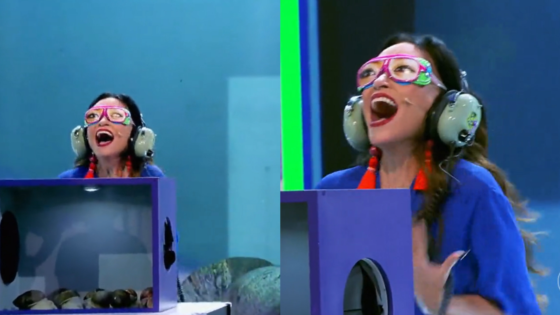Suzana Pires leva susto em dinâmica no ‘Caldeirão’ e se desespera: “Vou mijar”