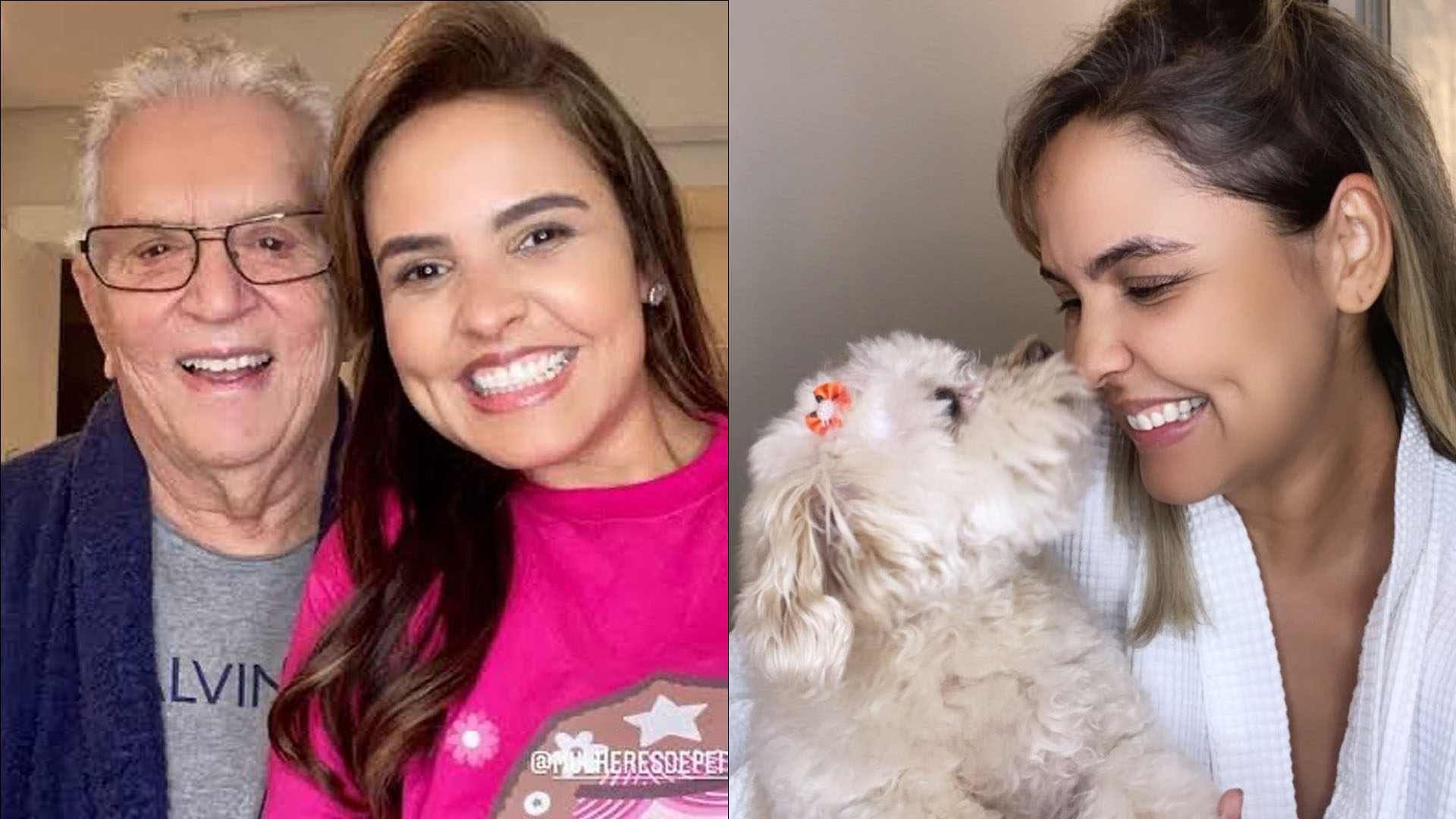 Cadela de Carlos Alberto de Nóbrega tem ‘tapete de xixi’ de R$ 12 mil: “Puxa saco”