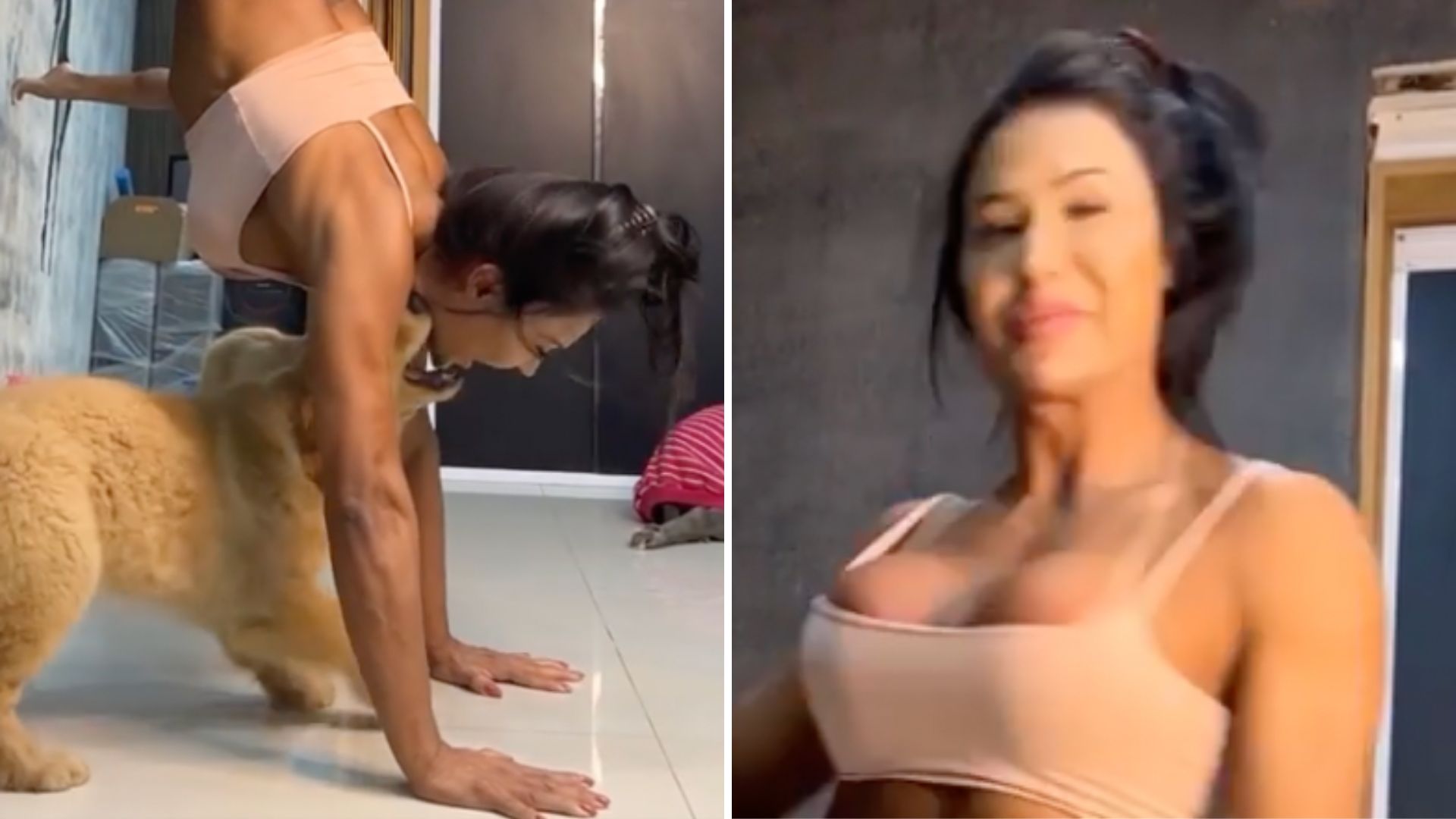 Gracyanne Barbosa trepa na parede de calcinha e sutiã, mas leva mordida no rosto: “Suei frio”