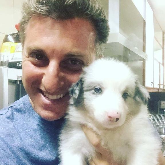 Luciano Huck posta foto com novo pet: “Fofurice pura”