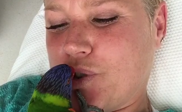 Xuxa Meneghel mostra novo bichinho de estimação: “Adotado”