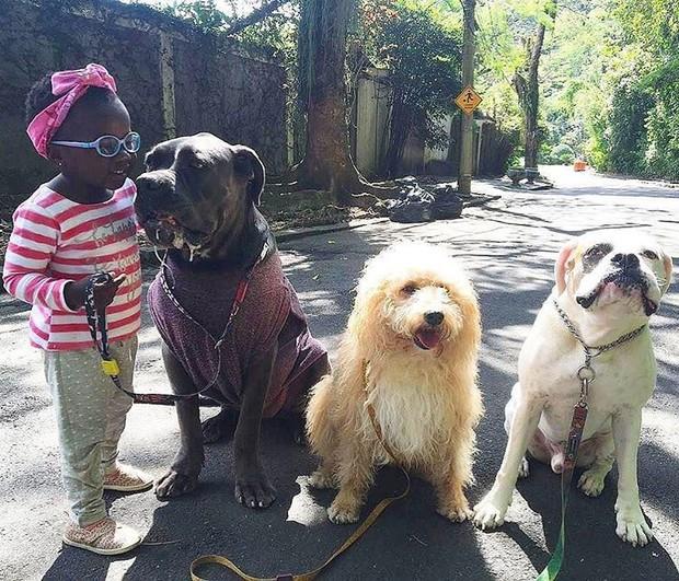 Giovanna Ewbank compartilha foto de Titi com cães da família