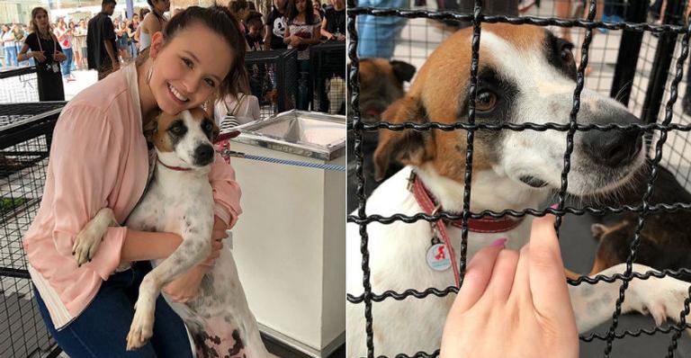 Larissa Manoela apresenta seu novo bichinho de estimação: “Essa é Vitória Regina”
