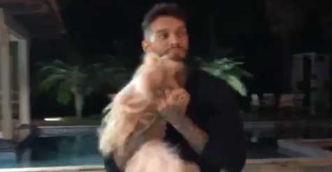 Lucas Lucco tenta gravar vídeo fofo com cachorrinha e acaba se dando mal