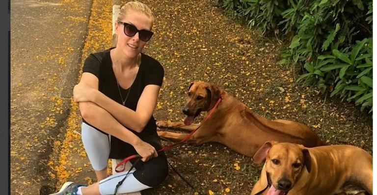 Ana Hickmann brinca com seus cachorros e questiona: “Como alguém pode fazer mal a um ser tão fofo?”
