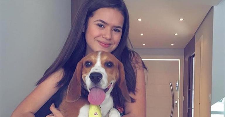 Maisa lamenta a morte de mais um cachorro em 2018