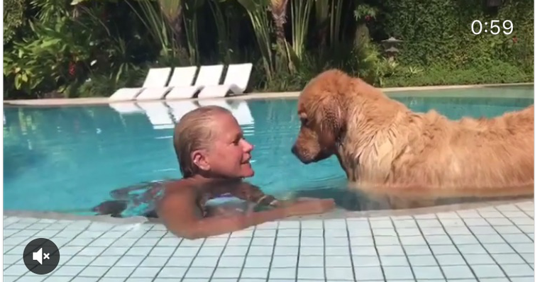 Xuxa Meneghel explica que ainda não pode ser considerada vegana