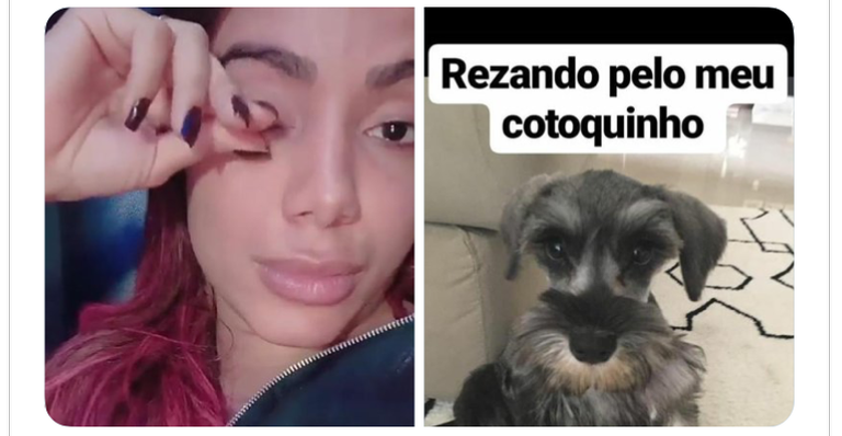 Emocionada, Anitta revela que um de seus cachorros está com problemas de saúde