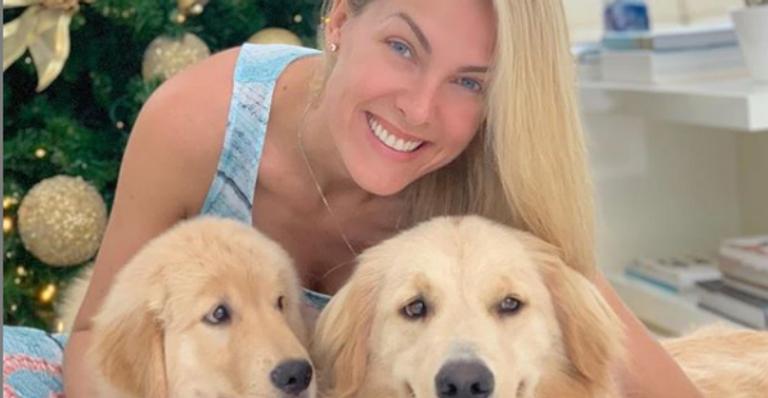 Ana Hickmann educa cachorro para auxiliar deficientes visuais: ”Vai fazer alguém muito feliz e independente”