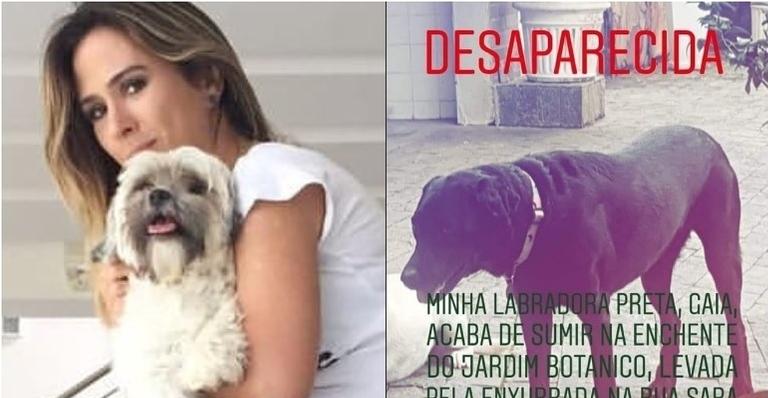 Tatá Werneck ajuda nas buscas de cachorro perdido em enchente