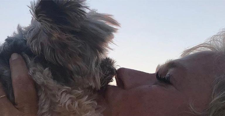 Xuxa recebe homenagem ao cachorrinho Dudu: ”Meu coração agradece”
