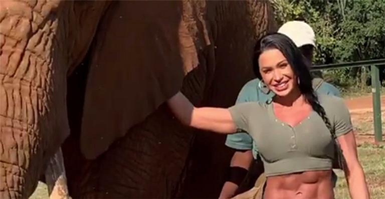 Bumbum gigante de Gracyanne Barbosa rouba a cena em encontro com elefante