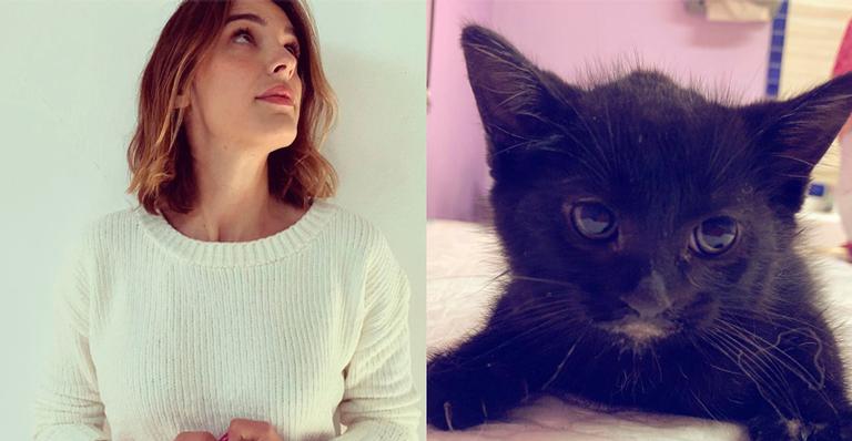 Rafa Brites lamenta morte de gatinho resgatado: ”Partiu com todos os cuidados”
