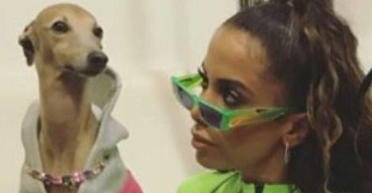 Anitta ganha prêmio e explosão assusta Plínio, seu cachorro