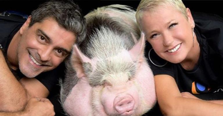 Xuxa Meneghel é incompreendida após fazer pedido aos fãs: ”Comemore a vida sem morte na sua mesa”