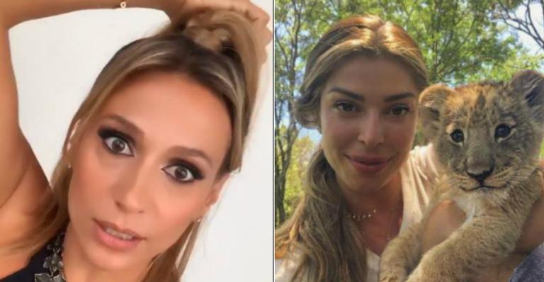 Grazi Massafera apaga post com animal e Luisa Mell celebra conscientização: ”Esse é meu trabalho”