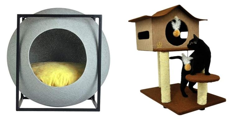 Aproveite o dia mundial do gato e confira os melhores produtos para seu pet