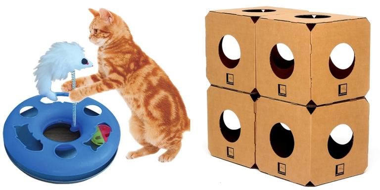 7 brinquedos para divertir seus pets dentro de casa
