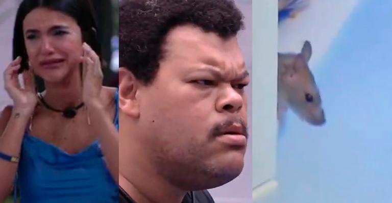 BBB20: Rato é flagrado na cozinha VIP e público faz graça: ”Tiago, eu voto no rato”