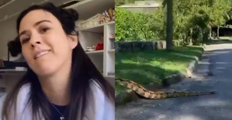Tatá Werneck se depara com jiboia em seu condomínio e choca seguidores