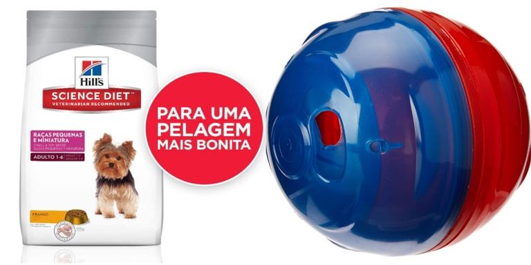 9 itens para cuidar e dar conforto para o seu pet no dia a dia