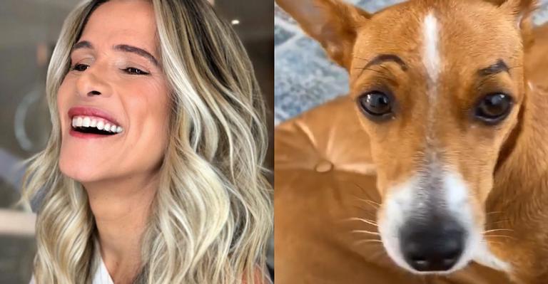 Ingrid Guimarães diverte web ao pintar sobrancelha em cadelinha de estimação: “Tá bonita”