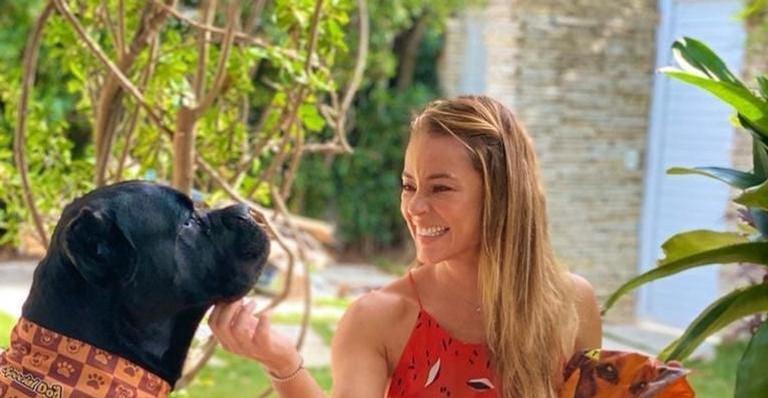 Paolla Oliveira flagra momento encantador do companheiro pet: “Você diria não pra esse olhar?”