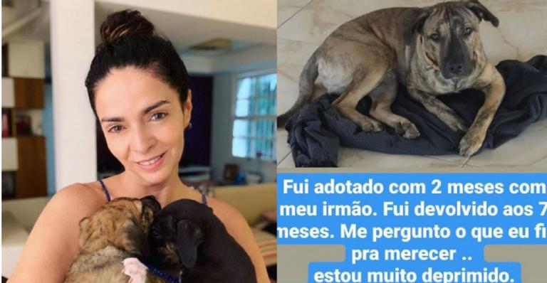 ONG diz que Claudia Ohana devolveu cachorros que adotou: “Estão muito deprimidos”