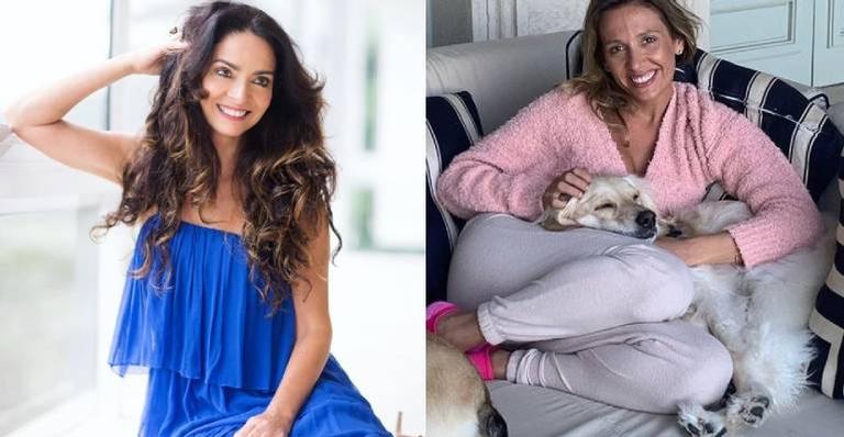 Luisa Mell se posiciona após Claudia Ohana devolver cachorros adotados: ”Não é caso único”