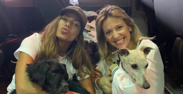 Que coração! De volta ao Brasil, Anitta adota três cachorros deficientes: “Feliz da vida”