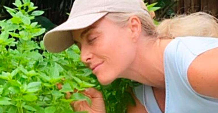 Angélica surpreende seguidores ao mostrar horta no quintal da mansão em visual à vontade: “Famoso de chinelo”