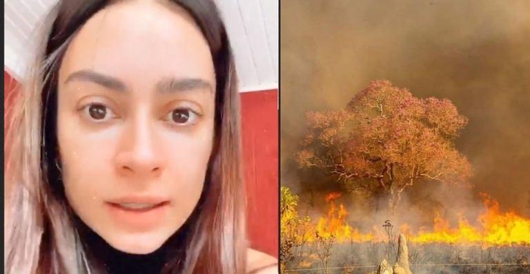 Thaila Ayala surge abalada ao falar sobre queimadas no Pantanal: “Desolador”