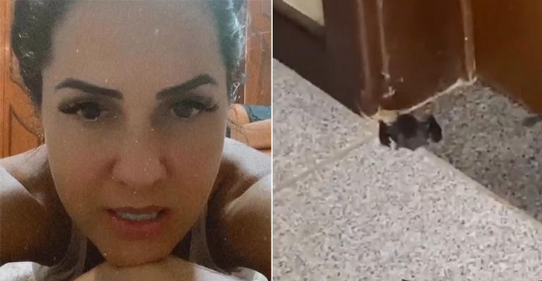 Graciele Lacerda é surpreendida após ter cozinha invadida por animal: “Quase morri”