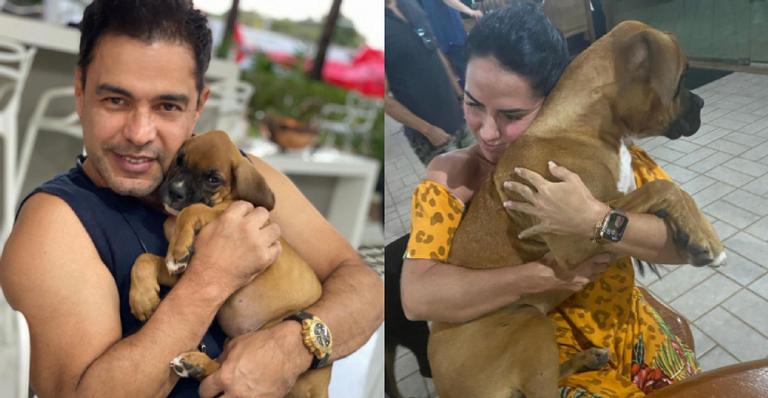 Zezé Di Camargo e Graciele Lacerda pedem ajuda para encontrar cão desaparecido: “Com o coração na mão”