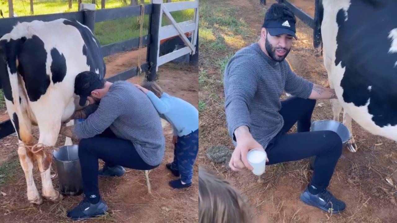 Vida no campo! Gusttavo Lima surge ordenhando vaca e dá copo de leite fresco ao filho: “Totoso demais”