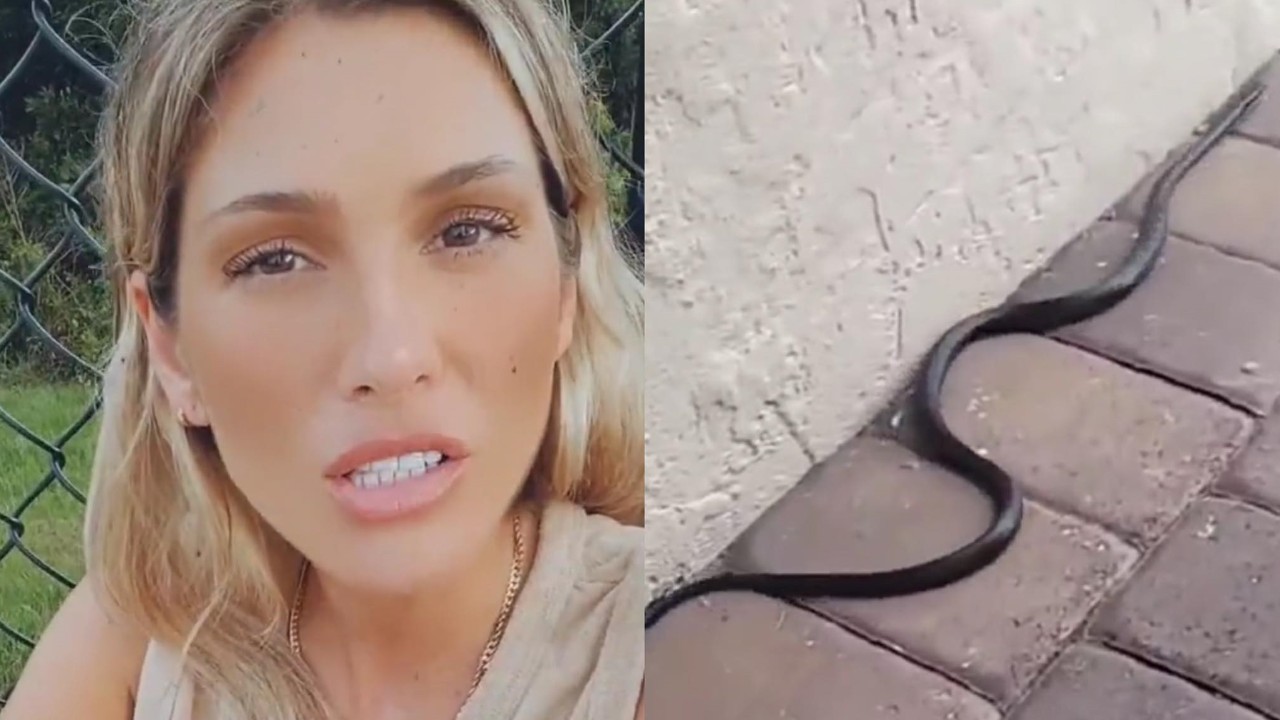Lívia Andrade se depara com cobra em sua casa e relata: “Ela vinha na minha direção, mas não levei chibatada”