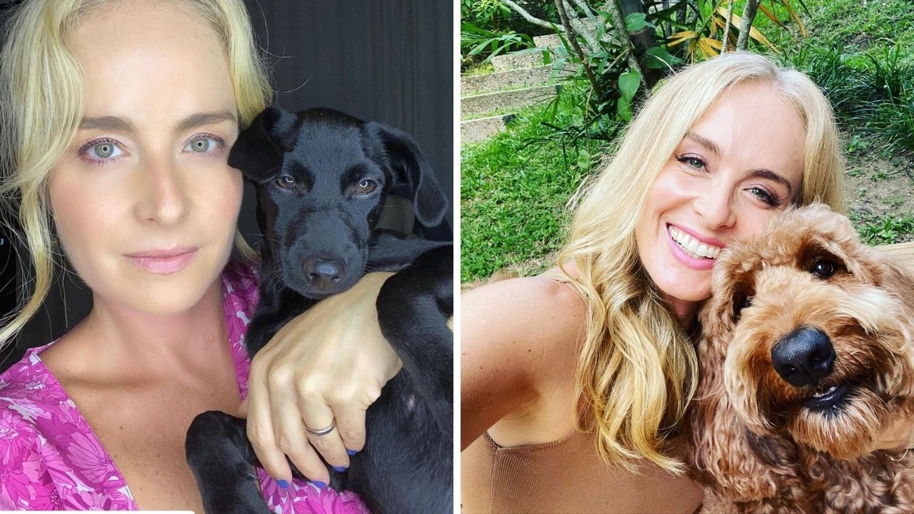 Mãe de pet assumida, Angélica relata adoção de Latina, nova integrante da família, em podcast: “Amor incondicional”