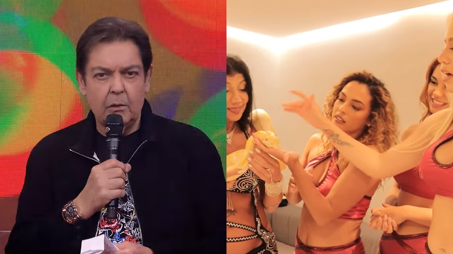 Bailarinas do Faustão entram em desespero após cobra invadir camarim na Band; vídeo