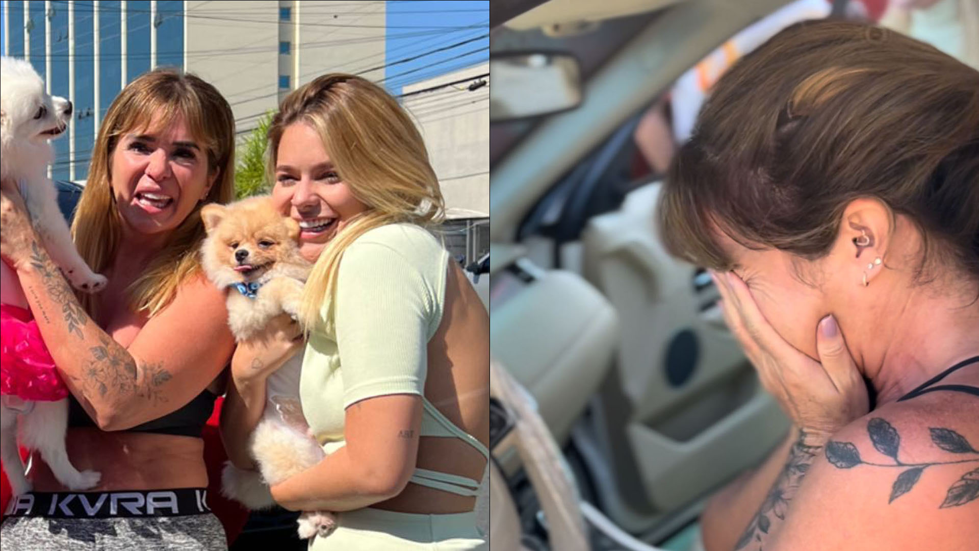Ex-BBB Viih Tube presenteia mãe com carro de R$ 400 mil e emociona: “Maior chororô”
