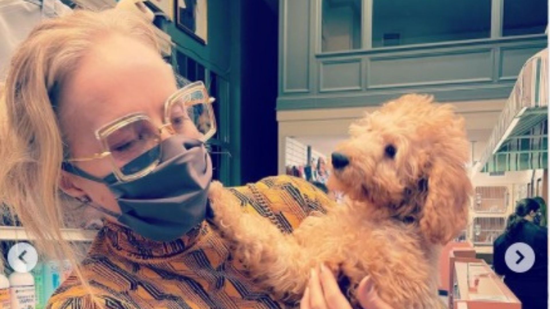 Angélica faz passeio em pet shop e apaixona por cachorros em Nova York