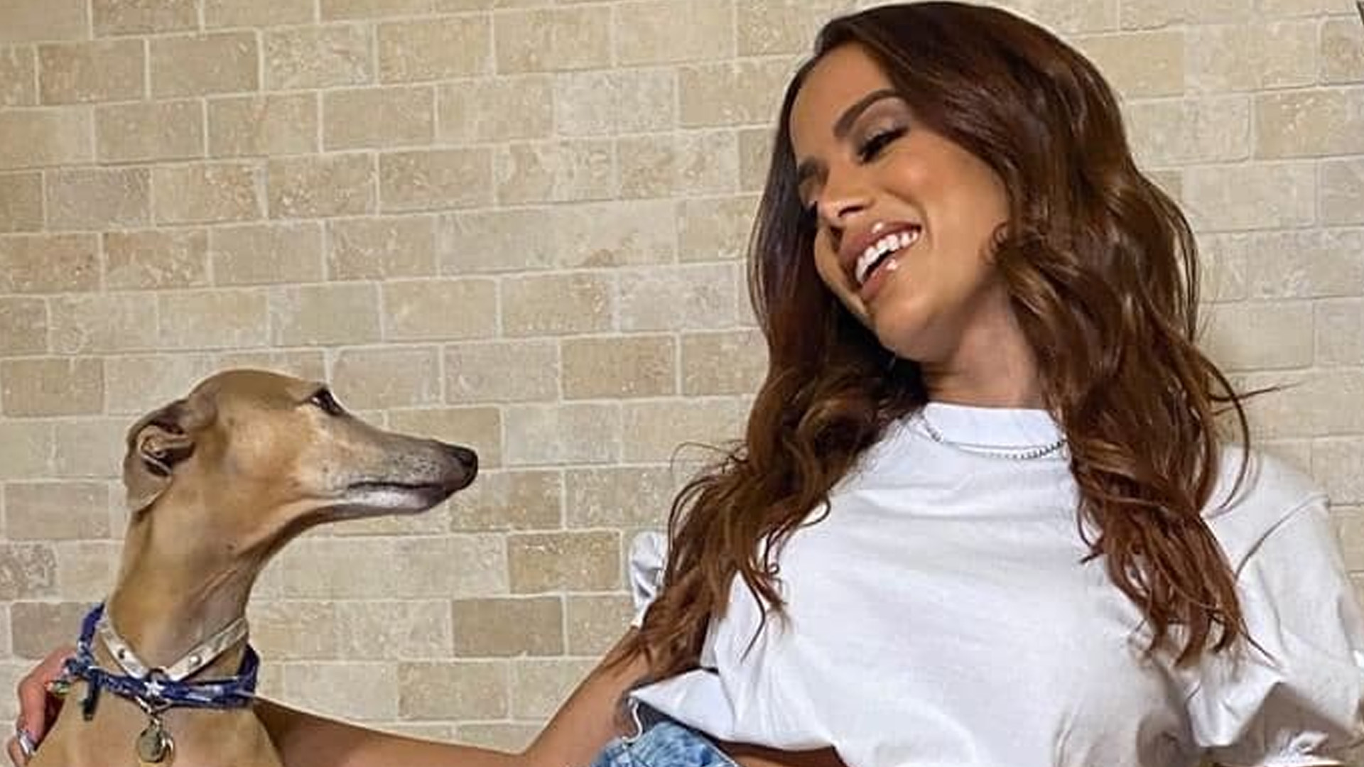 Anitta mostra pet com look grifado de R$ 2200: “Vive melhor que eu”